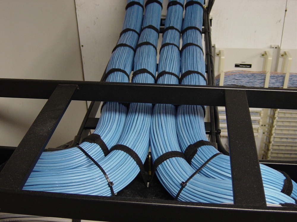 Millions of blue cables together